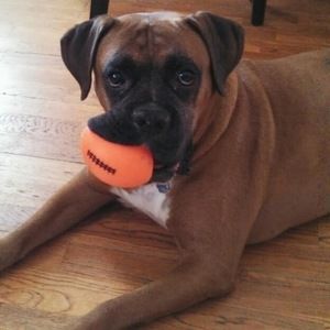 Meet your Posher, Kat